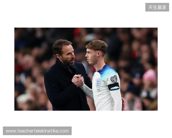 图赫尔谈10号位:一阶段考察帕尔默&福登;二阶段贝林&罗杰斯 图赫尔谈10号位:一阶段考察帕尔默&福登;二阶段贝林&罗杰斯