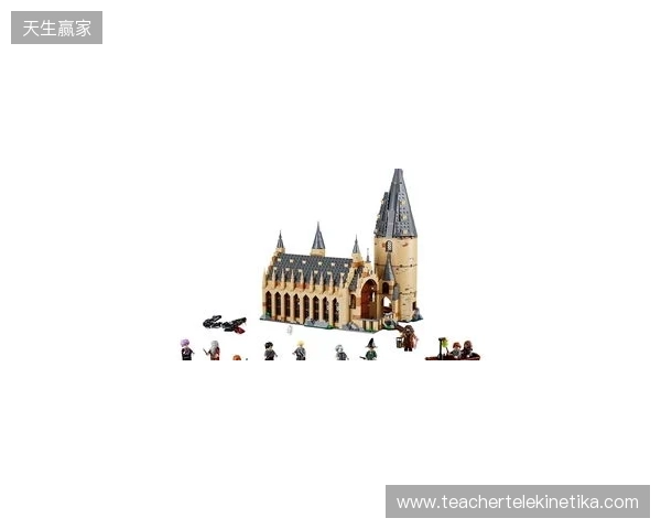 安东内拉：爱拼霍格沃茨城堡，家里有类似博物馆空间放乐高